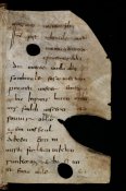 E-codices-csg-0911-320-small
