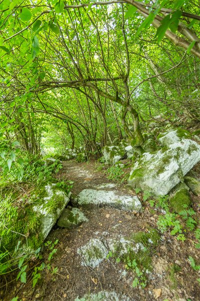 Img-6617_2